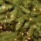 7.5ft. Pre-Lit PowerConnect™ Dunhill® Fir Tree Artificial Christmas Tree, Clear Lights
